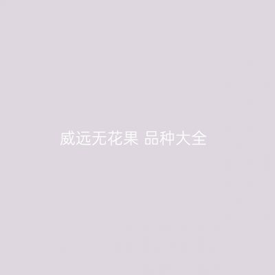 威远无花果 品种大全